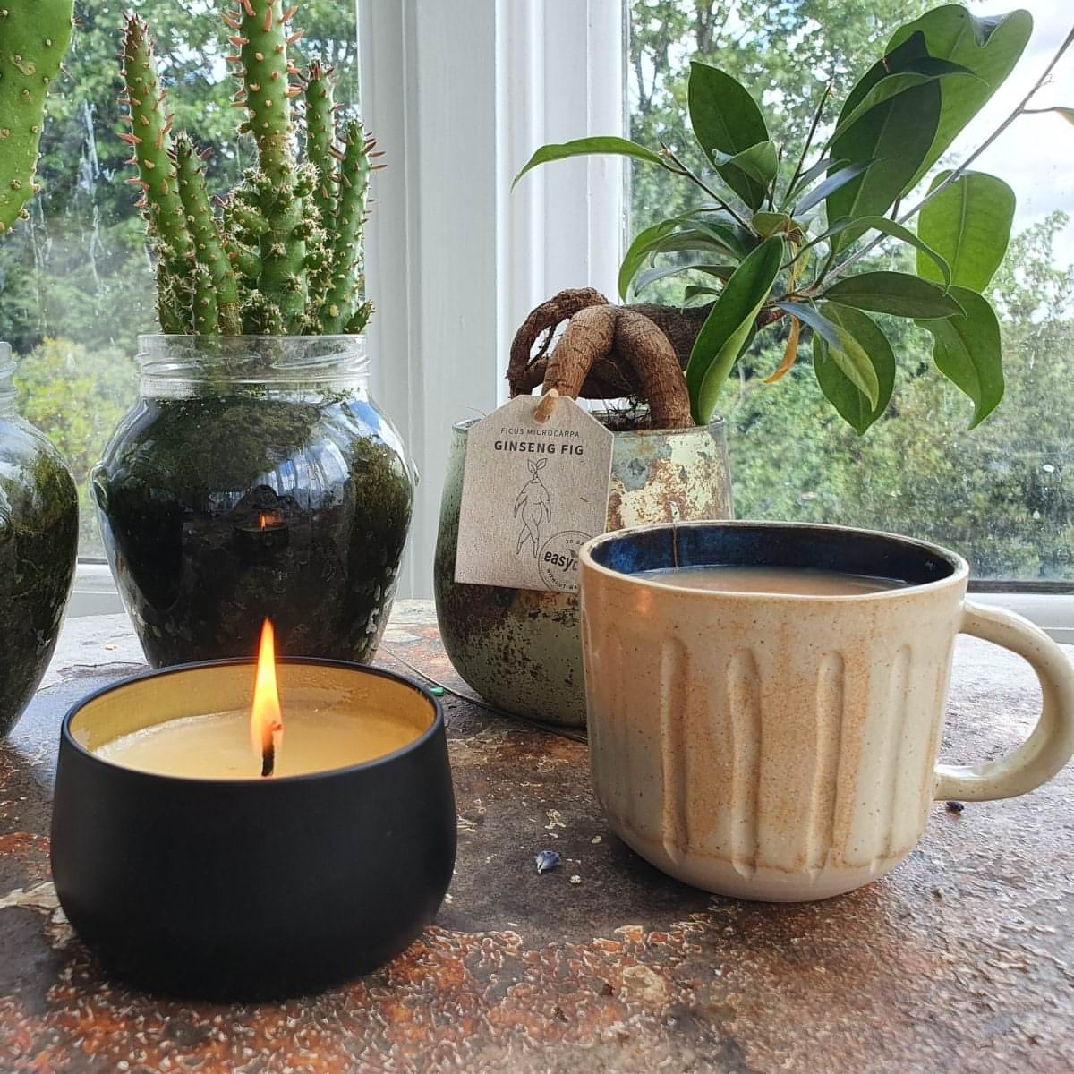 Monthly Candle Subscription-2